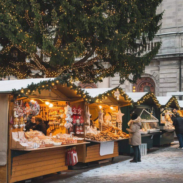 Зимові табори(дізнатися більше)